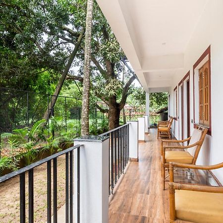 Casa De Mor Room With Pool Anjuna Exterior foto
